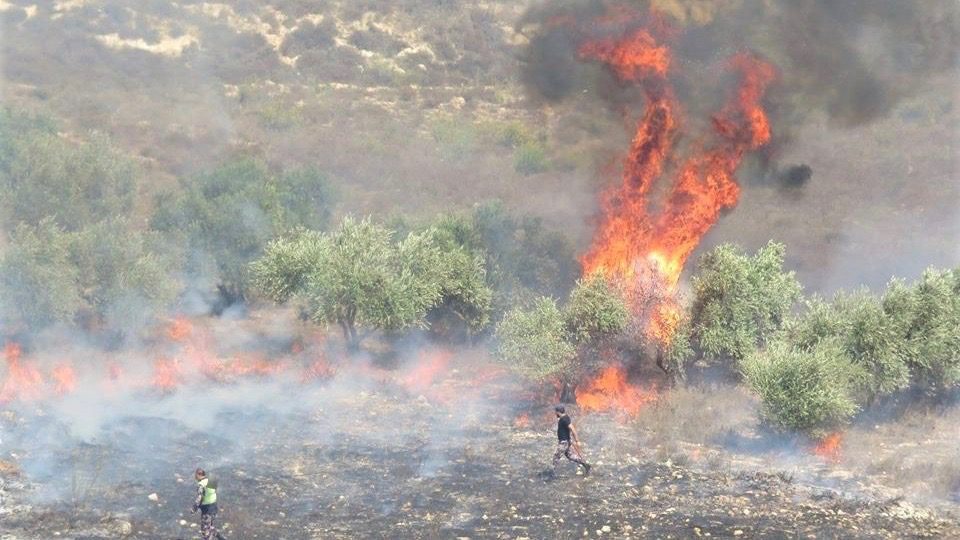 Israeli settler violence against Palestinians
