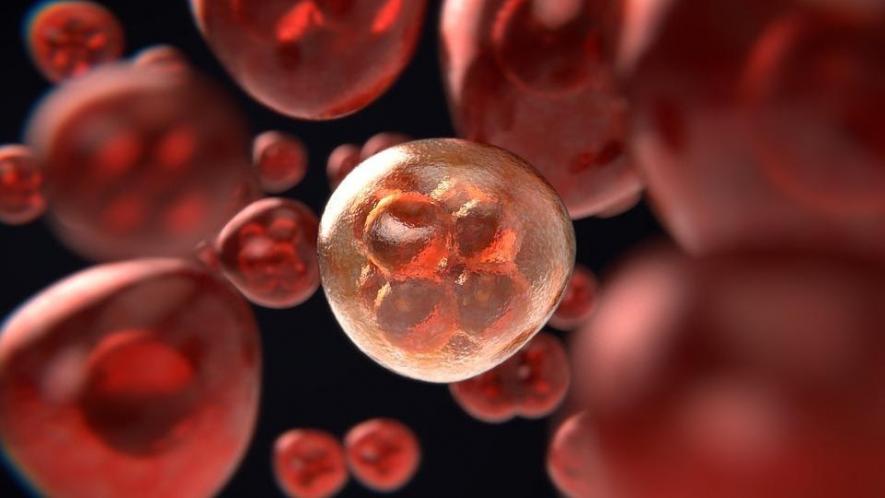 Cancer research
