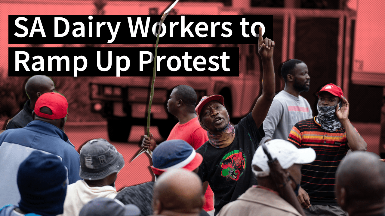 Workers of Clover, South Africa’s largest dairy company, set to intensify resistance