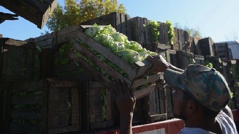 Argentine social movements propose a food sovereignty plan