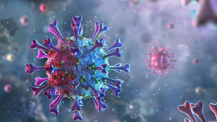 COVID-19: deceased patients’ autopsies show remarkable immune failure