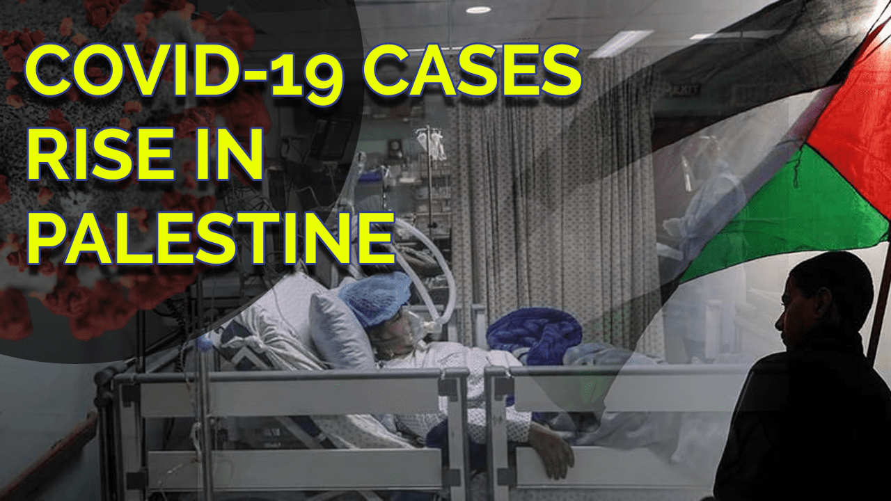 Palestinian healthcare is crumbling in face of COVID-19, Israeli occupation