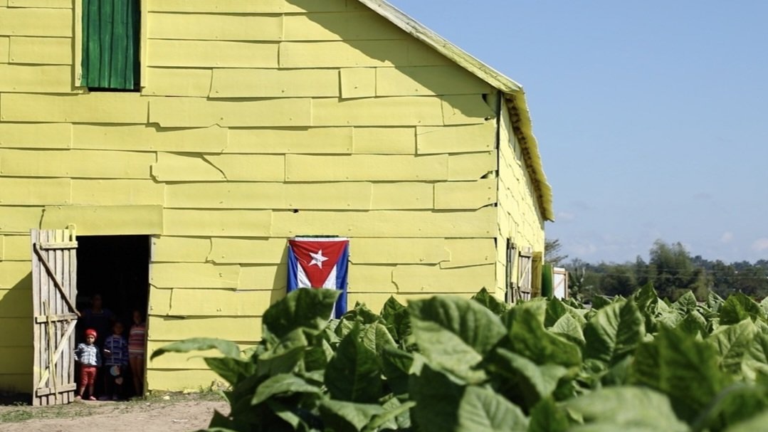 As Cubans face blackouts, US-based activists organize material solidarity