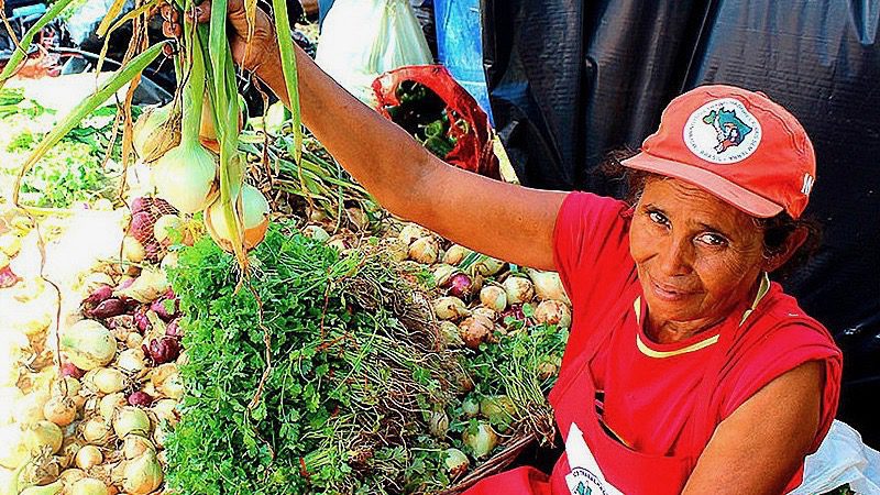 Food sovereignty: 25 years in the making