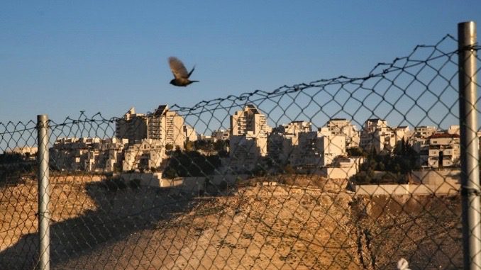 Israel approves another 2,304 illegal settlement units in the occupied West Bank