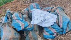 Eight bodies found in bags in Ecuador