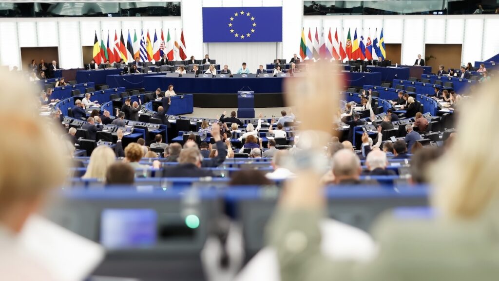 EP Plenary Session - Voting session