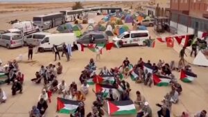 Activists wave Palestinian flags with vans and buses in the background